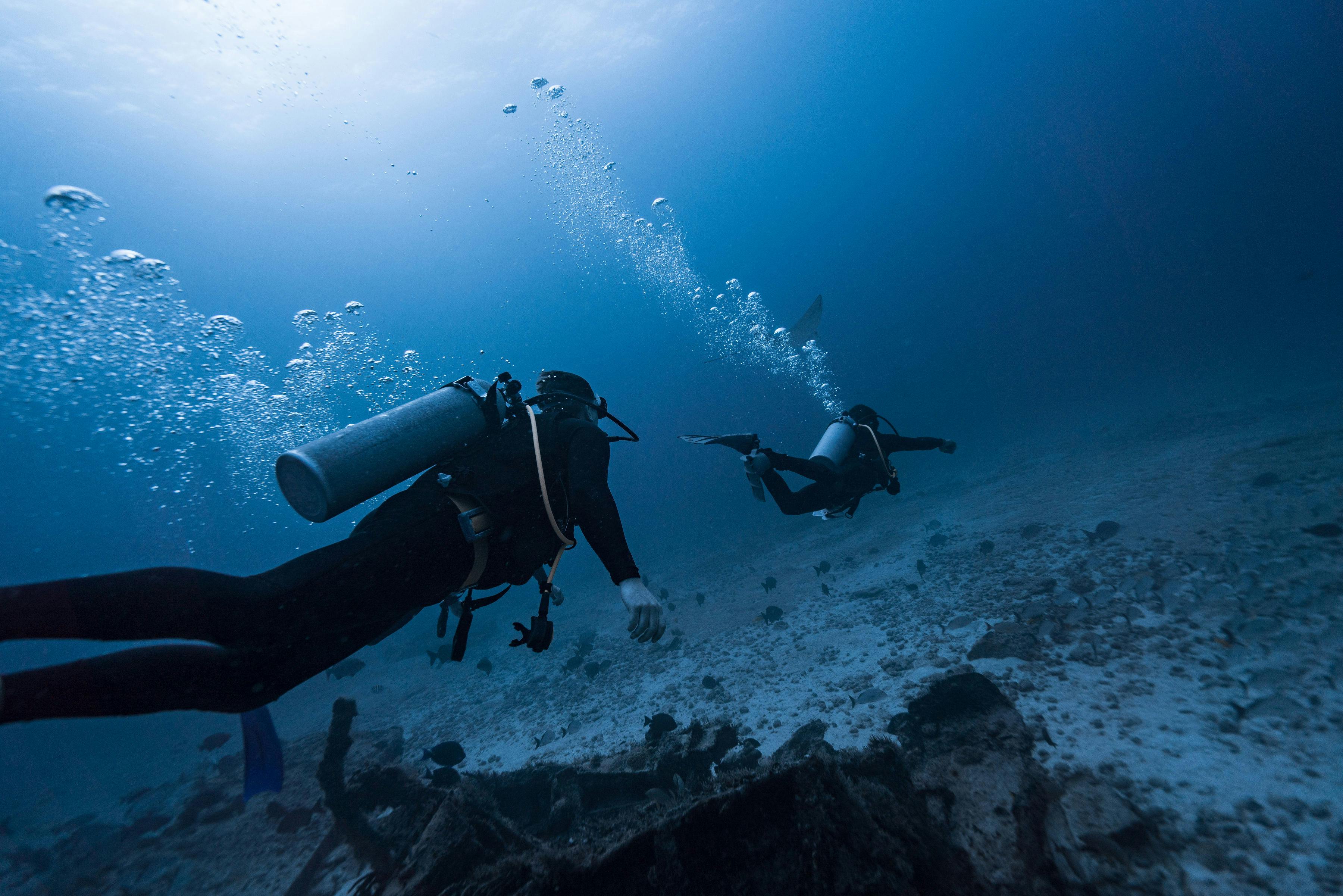 15 Essential Skills Every Scuba Diver Should Master