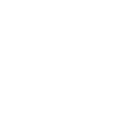 Bass mode icon