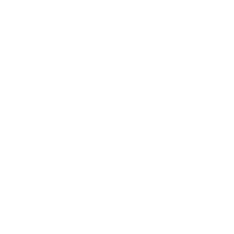 Vocal mode icon
